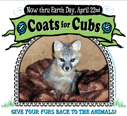 Coats for Cubs at Buffalo Exchange helping animal rehab organizations