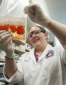 Research microbiologist Rebecca Bell (above) observes tomatoes suspended in a plastic bag of a liquid containing nutrients that make it an ideal environment for growing bacteria. Watch the Team Tomato slideshow below, or go to Flickr for the high resolution photos and captions.