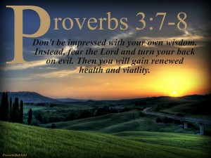 Proverbs 3-7-8