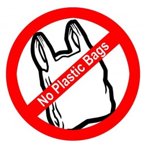 ban on bags