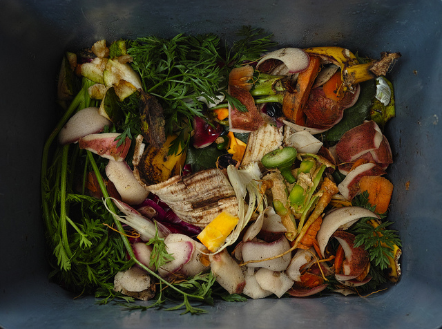 Turn Natural Trash into Compost – A Nutritious Garden Treat