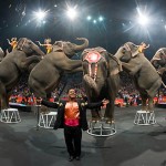 32_11_ringlingbros_z