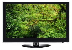 Flat screen LCD, OLED and plasma television sets are bigger and greener than ever before. Consumers should look for the ENERGY STAR label when shopping for a new model. Credit: Roddy Scheer.