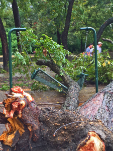 The first storm of Oct. has wreaked havoc through metroplex including Farmers Branch (Image: Farmers Branch)
