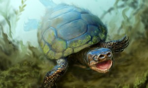 An artist's interpretation of Arvinachelys goldeni highlights its unique snout and semi-aquatic ecology. Unlike any turtle ever found, the broad snout of the newly discovered species has two bony nasal openings, not just one. (Credit: Victor Lshyik) 