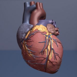 image: American Heart Assn