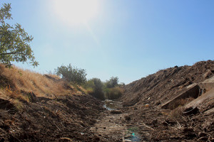 My brothers and I used to go fishing for crabs in this canal. Now it is completely dry.”—Lizbeth Vazquez, 17, Merced. Photograph by Alyssa Castro, 21. 