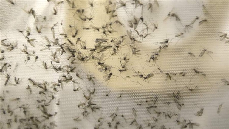 Zika virus reveals weaknesses in public health