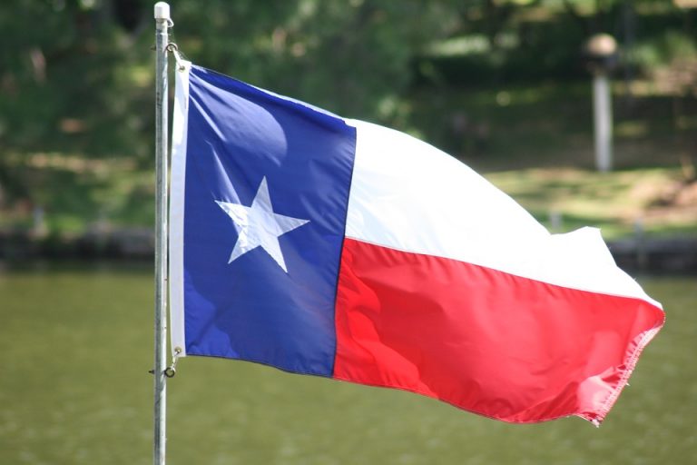 Texit: Secessionist call for a vote for Texas to become an indepedent nation