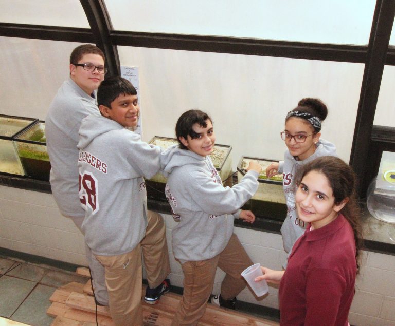 Lexus Eco Challenge launches 10th STEM competition