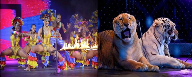 UniverSoul Circus – A big top spectacle of global proportions