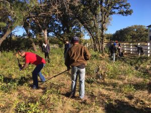 Father Bob Corley (red shirt) at St. Mark's Episcopal Church and his son Anderson with other volunteers get right to work cleaning out the debris and overgrown grass, weeds and trees covering the historic gravesites at Shelton's Bear Creek.