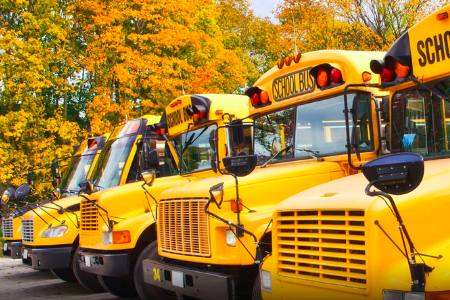 Voters to decide fate of Dallas County Schools transportation services Nov. 7