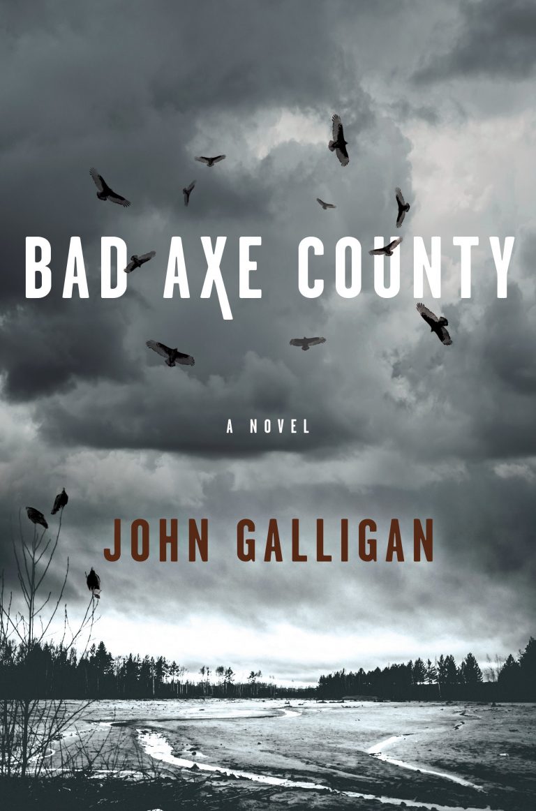 ‘Bad Axe County’ is a wildly good realistic, sometimes a raw gritty book you should business to read it.