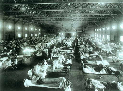Historically Speaking: Spanish Flu