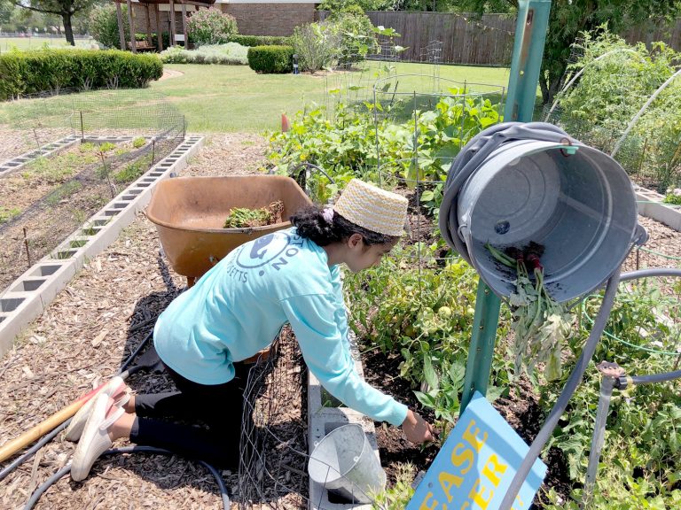 Farmers Branch Community Garden is a golden example of sharing