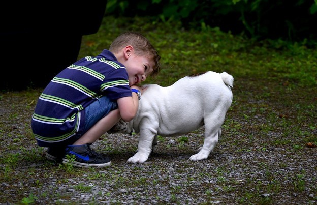 Ways Dogs Can Help Children with Autism