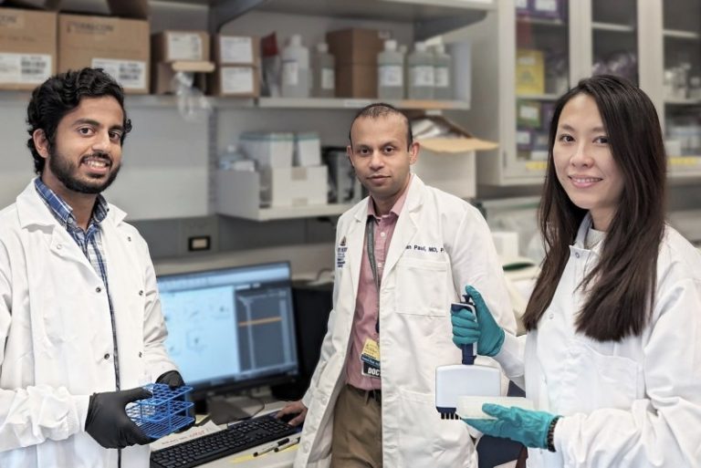 Johns Hopkins investigators develop novel treatment for T-cell leukemias and lymphomas