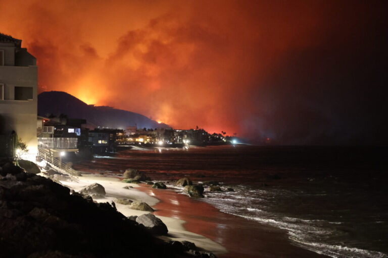 After the fires settle, who is to rebuild Los Angeles?