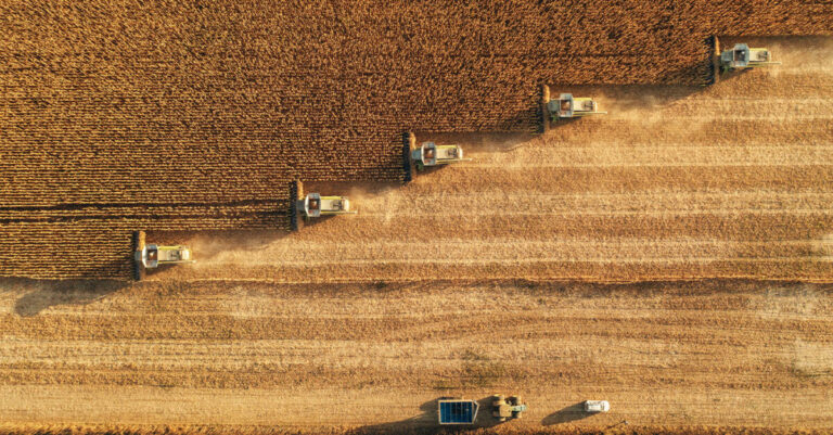 Medicaid Enrollees Targeted for Forced Farm Work Under Trump Immigration Crackdown