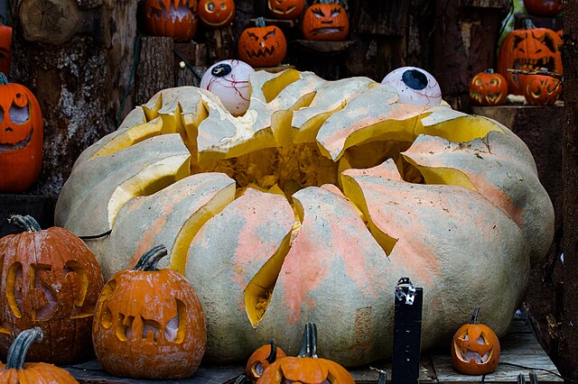 Raising Cane’s Giant Pumpkin on Display in Downtown Denton, Texas