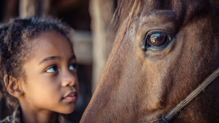 Equest Hosts Festive Holiday Open House in Dallas
